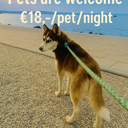 Pentz House Apartament Siófok