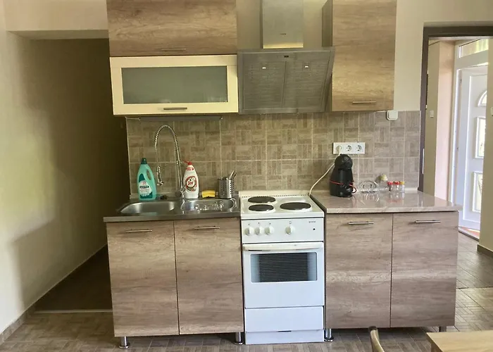 Apartament Pentz House