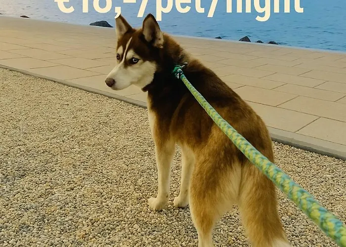 Pentz House Apartament Siófok